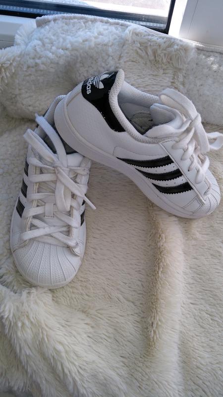adidas superstar 29