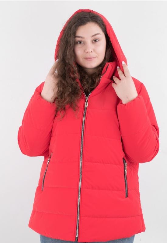 Mishel утепленная куртка 60 размер. куртка женская с капюшоном большие размеры. куртка женская демисезонная с капюшоном. куртка женская с капюшоном большие размеры. Mishel утепленная куртка 56 размер.