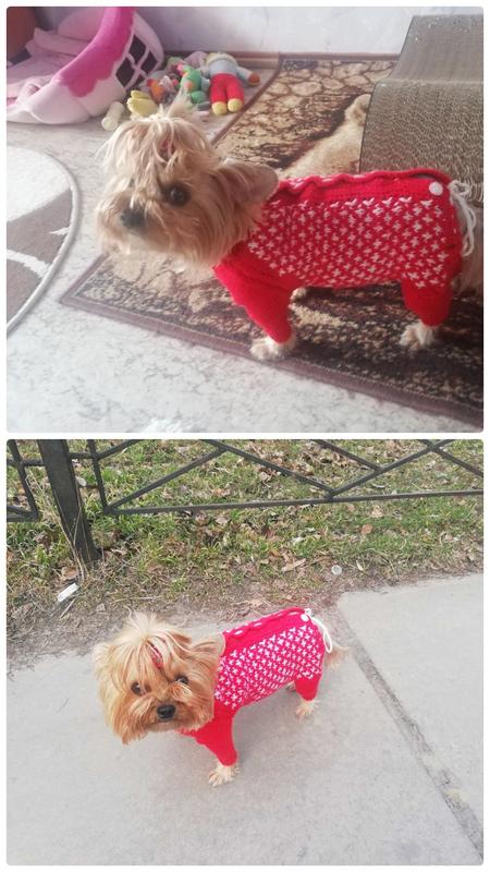 Одежда и обувь для собак и щенков купить в Киеве, Украине недорого, цены в зоомагазине ЗооФаворит
