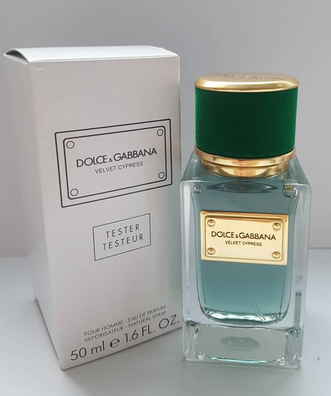 dolce gabbana velvet cypress