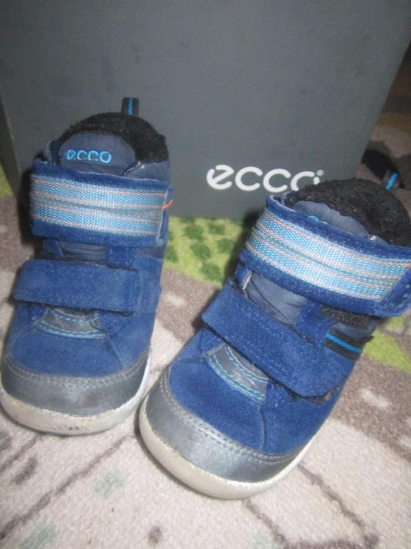 ecco biom lite infants