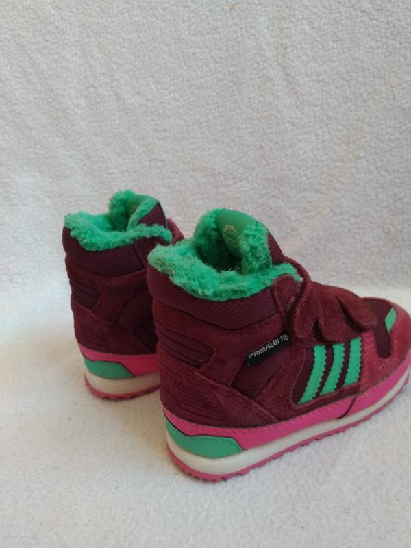 adidas zx winter