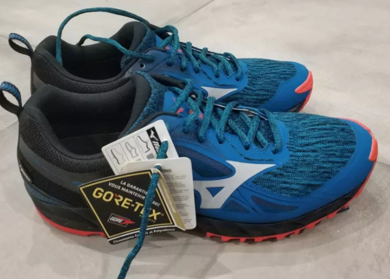 mizuno wave ibuki gtx