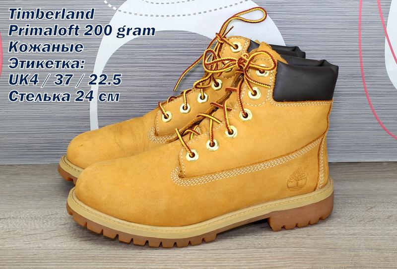 timberland primaloft 200 gram