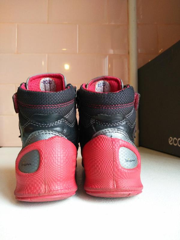 ecco biom train kids