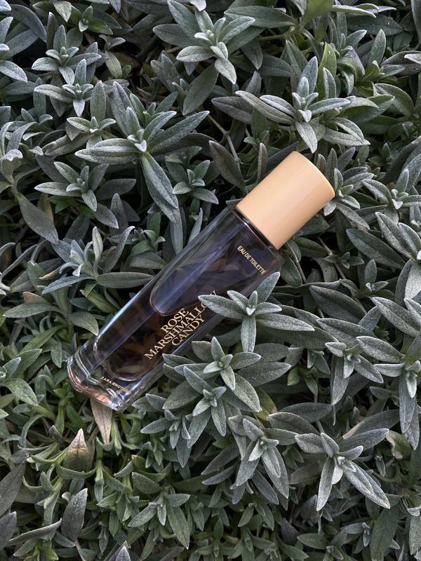 Introduce 113+ imagen zara rose marshmallow candy fr.thptnganamst.edu.vn