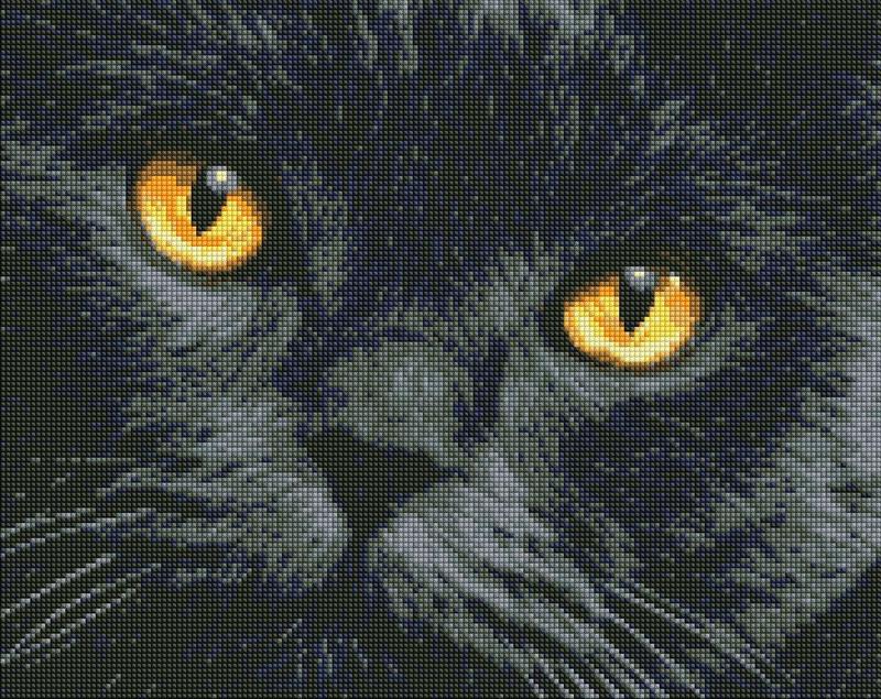 Набор алмазная мозаика вышивка черный кот кошка радужный взгляд на ...