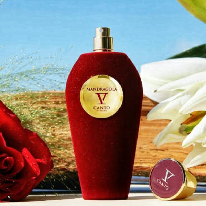 Mandragola v canto парфюм, парфюмированная вода — цена 225 грн в каталоге  Парфюмерия ✓ Купить товары для красоты и здоровья по доступной цене на Шафе  | Украина #24070729