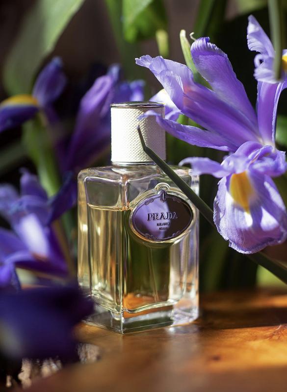 Iris infusion prada sale