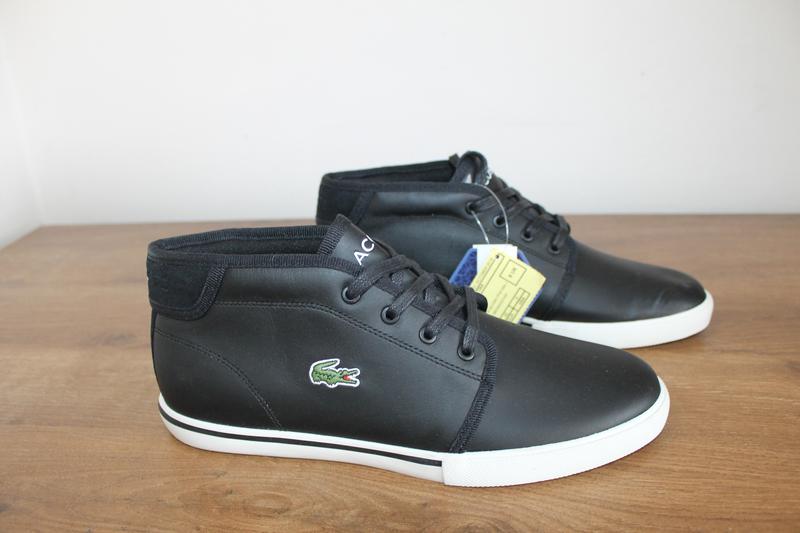 lacoste ampthill 319
