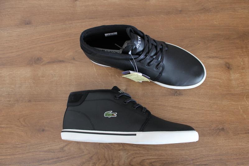 lacoste ampthill 319