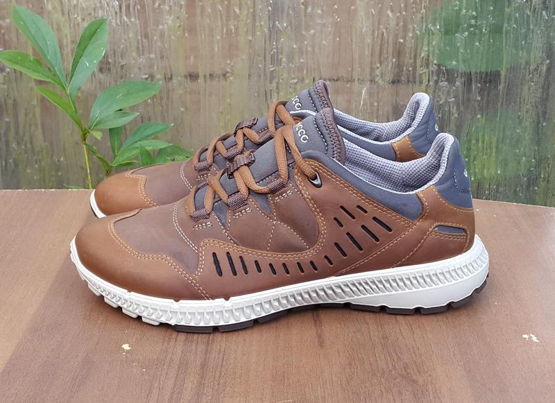 ecco terrawalk