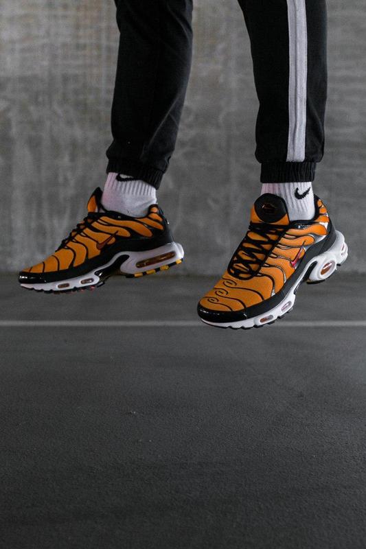air max plus tn tiger